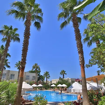 وسبا ماندرين