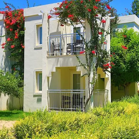 Mandarin & Bodrum