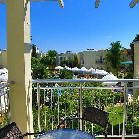 Mandarin & Bodrum