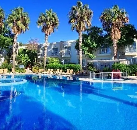 Mandarin & Bodrum
