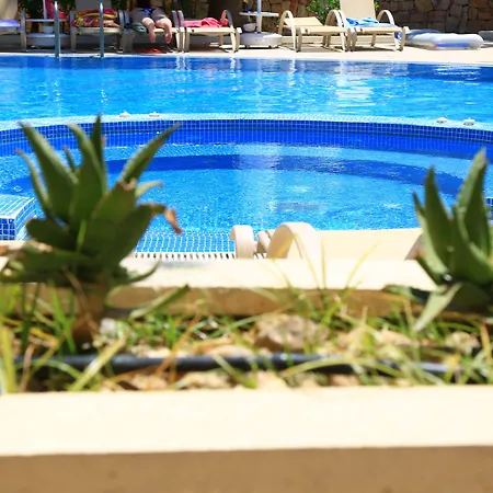 Mandarin & אתר נופש