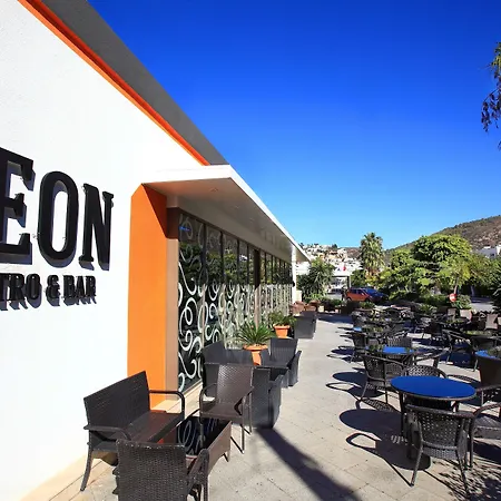 Mandarin & בודרום