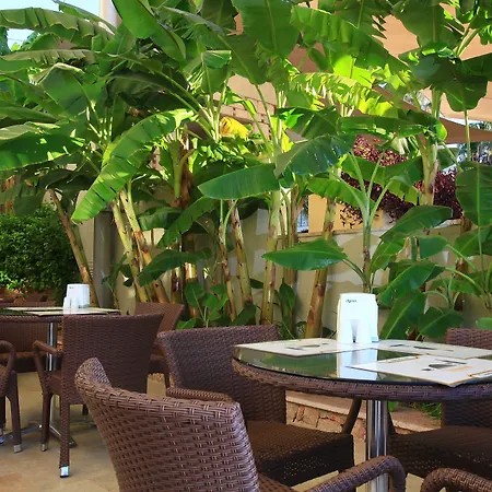 Mandarin & Semesteranläggning (resort) 5*