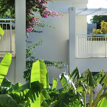 Mandarin & Bodrum