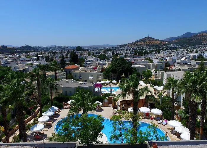 Mandarin & 리조트