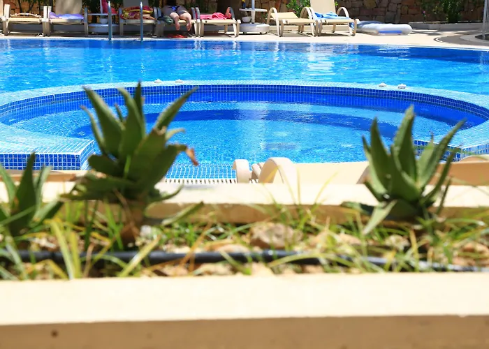 Mandarin & 리조트