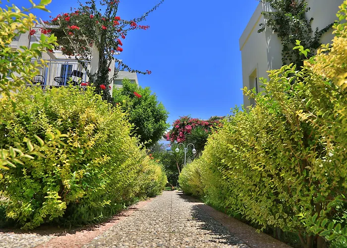 리조트 Mandarin &