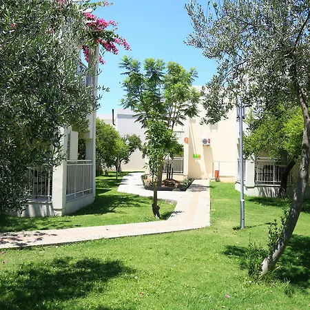 Mandarin & Bodrum
