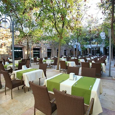 Mandarin & Bodrum